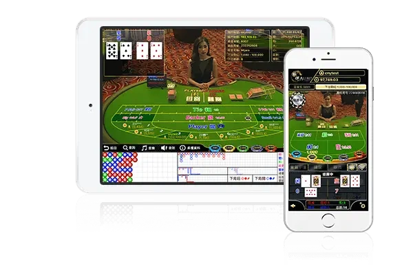 新2皇冠会员/管理登录网址APP界面：会员端、管理端与服务入口